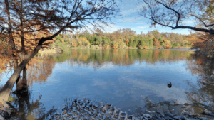 Red Bud Isle Westlake Hills TX